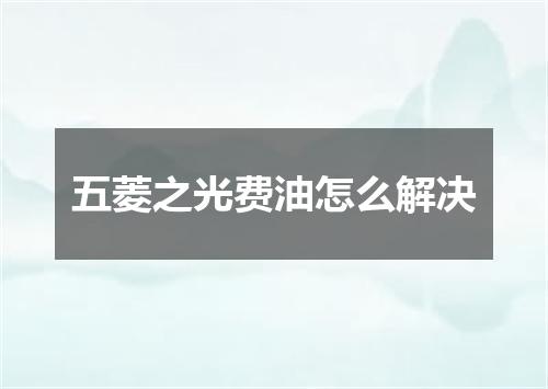 五菱之光费油怎么解决