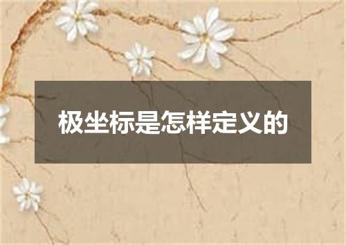 极坐标是怎样定义的