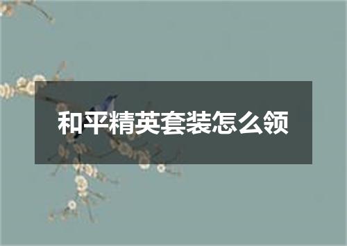 和平精英套装怎么领