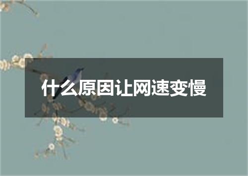 什么原因让网速变慢