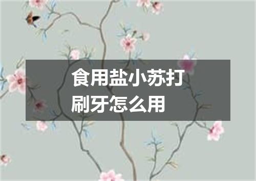 食用盐小苏打刷牙怎么用