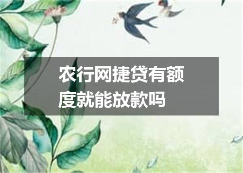 农行网捷贷有额度就能放款吗