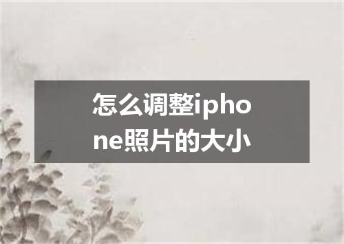 怎么调整iphone照片的大小