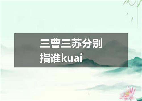 三曹三苏分别指谁kuai