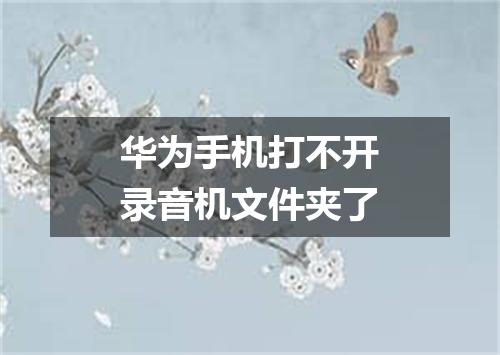 华为手机打不开录音机文件夹了