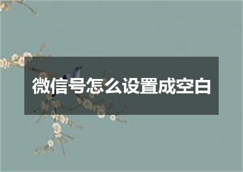 微信号怎么设置成空白