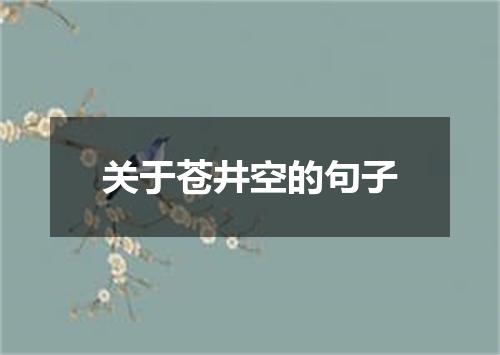 关于苍井空的句子