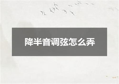降半音调弦怎么弄