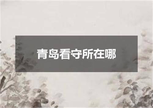 青岛看守所在哪