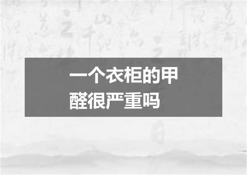 一个衣柜的甲醛很严重吗