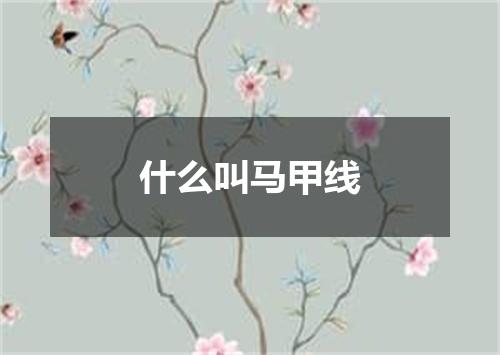 什么叫马甲线