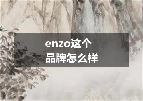 enzo这个品牌怎么样
