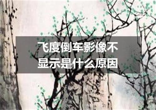 飞度倒车影像不显示是什么原因