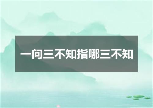 一问三不知指哪三不知