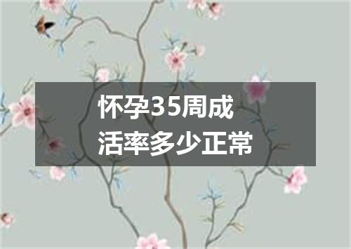 怀孕35周成活率多少正常