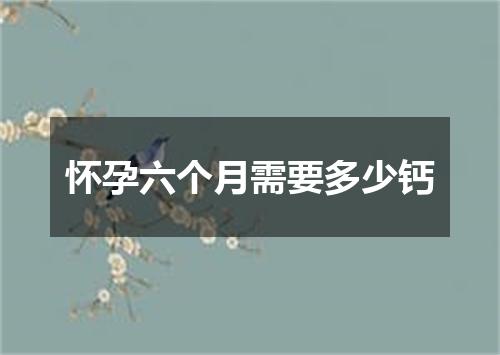 怀孕六个月需要多少钙
