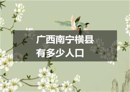 广西南宁横县有多少人口