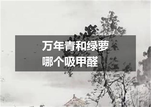 万年青和绿萝哪个吸甲醛