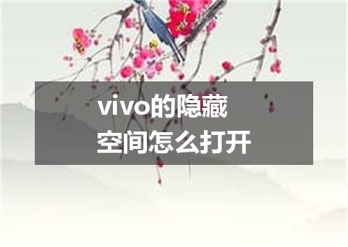 vivo的隐藏空间怎么打开