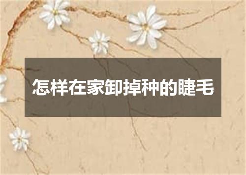 怎样在家卸掉种的睫毛