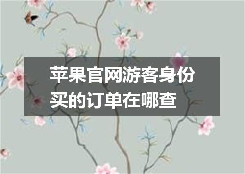 苹果官网游客身份买的订单在哪查