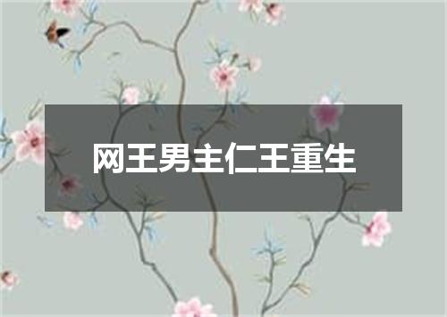 网王男主仁王重生