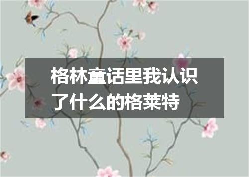格林童话里我认识了什么的格莱特