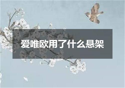 爱唯欧用了什么悬架