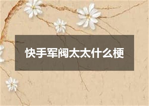 快手军阀太太什么梗