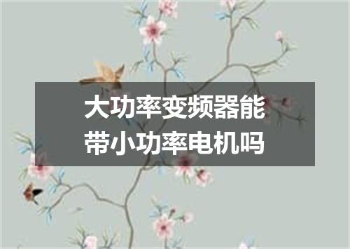 大功率变频器能带小功率电机吗