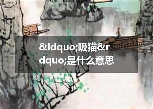 &ldquo;吸猫&rdquo;是什么意思