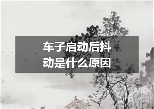 车子启动后抖动是什么原因