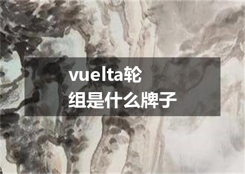 vuelta轮组是什么牌子