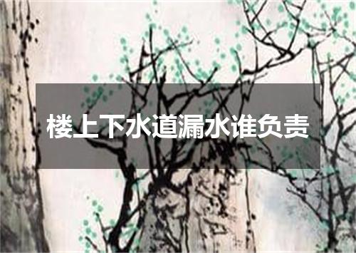 楼上下水道漏水谁负责