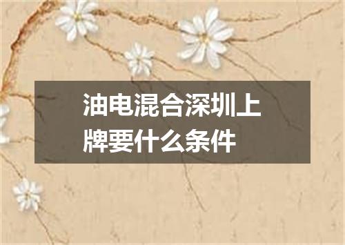 油电混合深圳上牌要什么条件