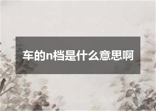 车的n档是什么意思啊