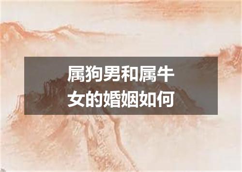 属狗男和属牛女的婚姻如何