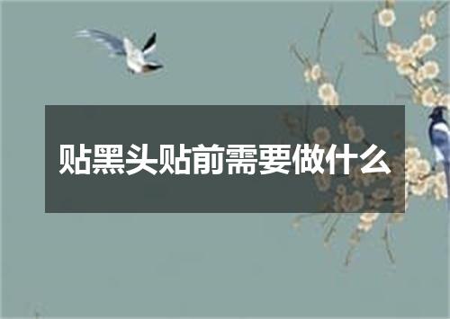 贴黑头贴前需要做什么