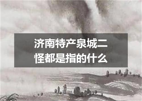 济南特产泉城二怪都是指的什么