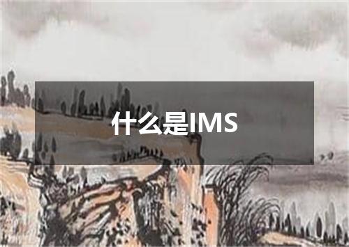 什么是IMS