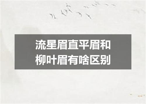 流星眉直平眉和柳叶眉有啥区别