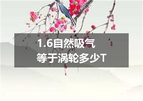 1.6自然吸气等于涡轮多少T