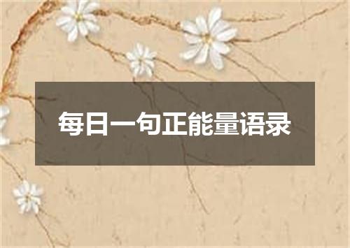 每日一句正能量语录