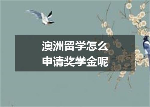 澳洲留学怎么申请奖学金呢