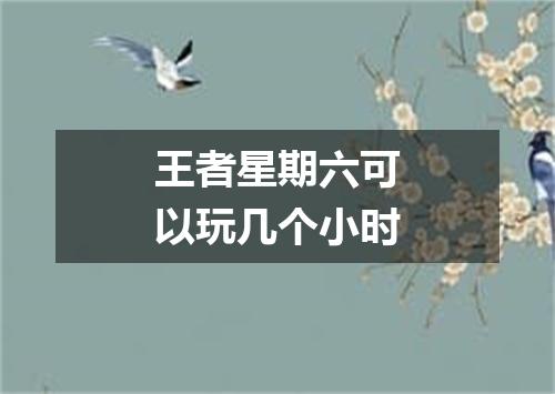 王者星期六可以玩几个小时