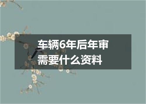 车辆6年后年审需要什么资料