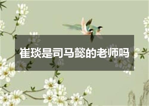 崔琰是司马懿的老师吗