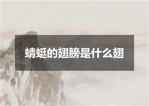 蜻蜓的翅膀是什么翅