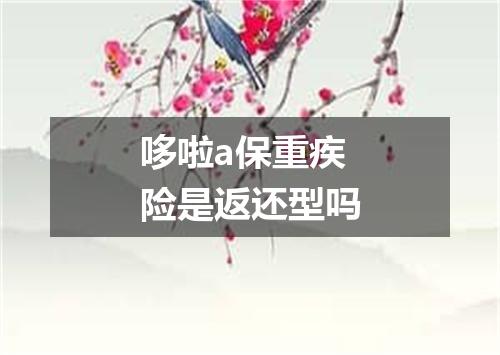 哆啦a保重疾险是返还型吗