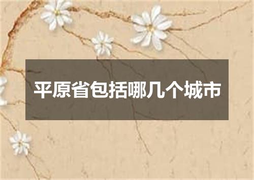 平原省包括哪几个城市